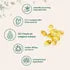 Aceite de Oregano en Capsulas